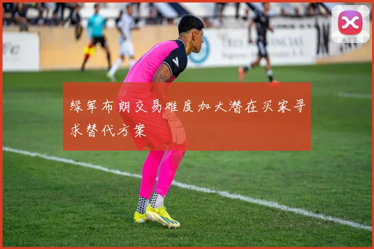 绿军布朗交易难度加大潜在买家寻求替代方案
