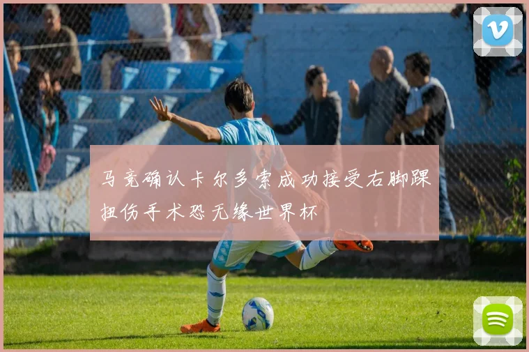 马竞确认卡尔多索成功接受右脚踝扭伤手术恐无缘世界杯